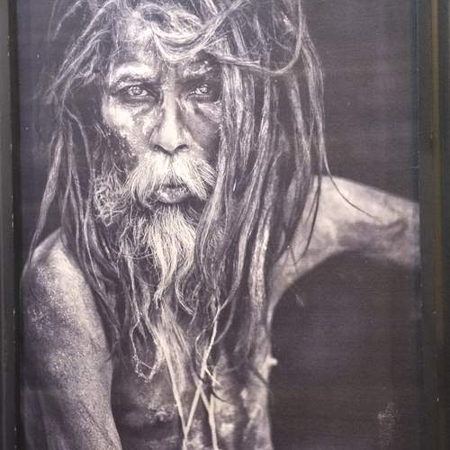 Photo #13686504