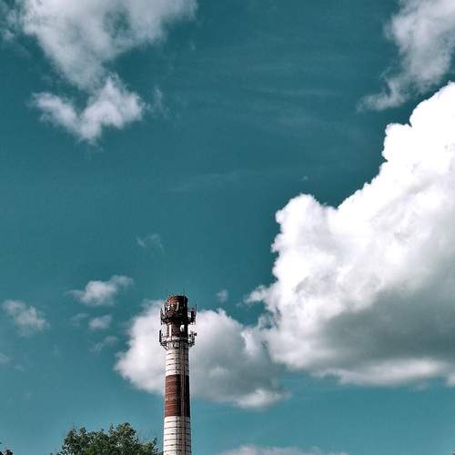 Photo #13686516