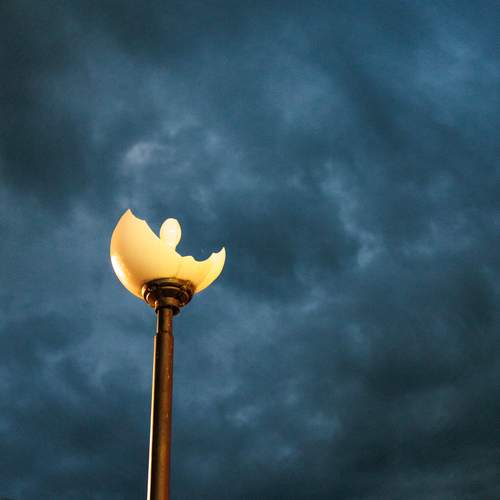 Photo #13686522
