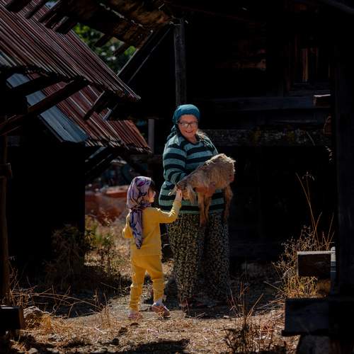 Photo #13686526