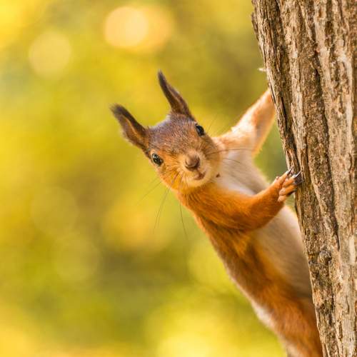 Photo #13686577
