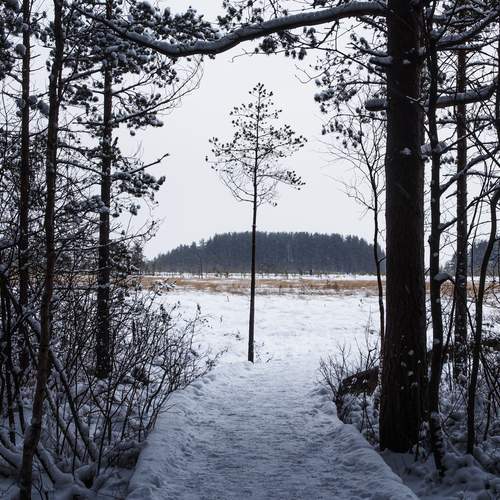 Photo #13686695