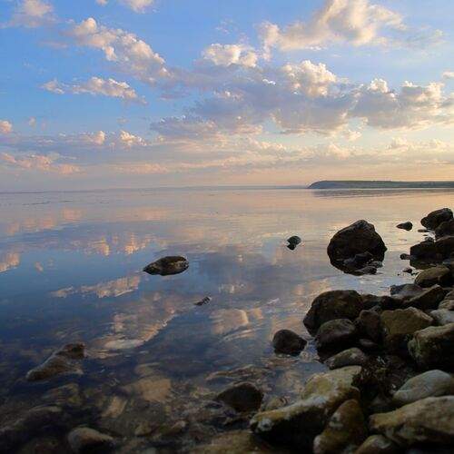 Photo #13686702