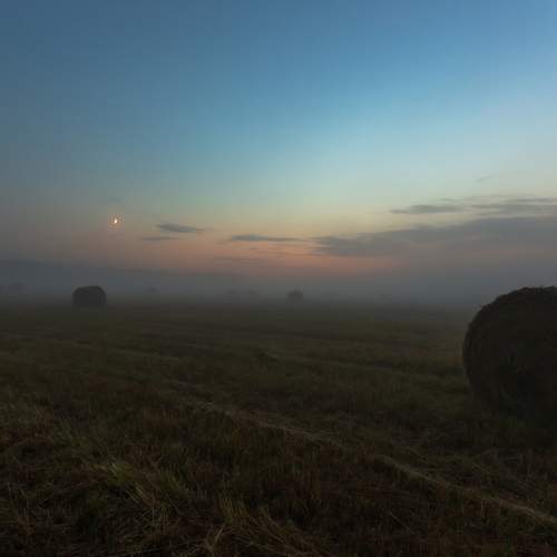 Photo #13686703