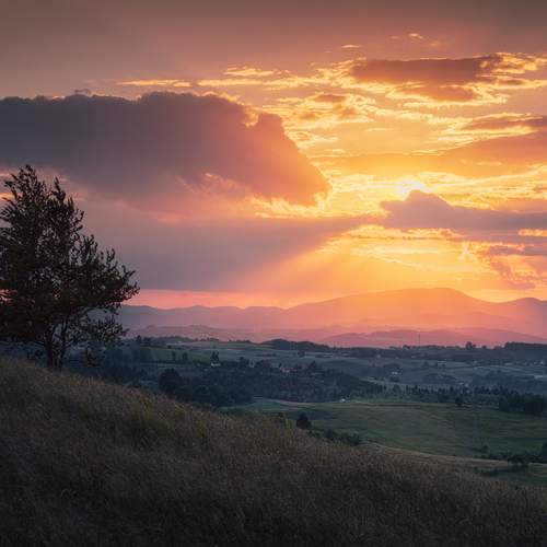 Photo #13686746