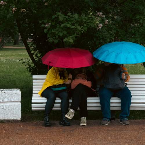 Photo #13686763