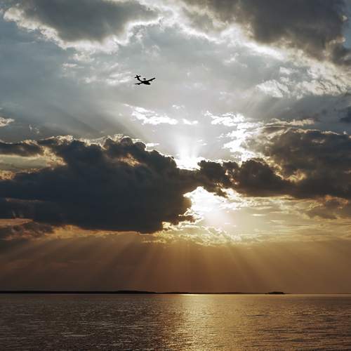 Photo #13686799