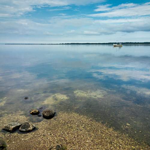 Photo #13686805