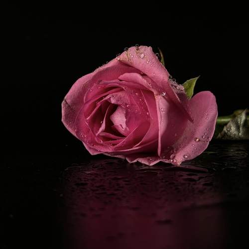 Photo #13686807