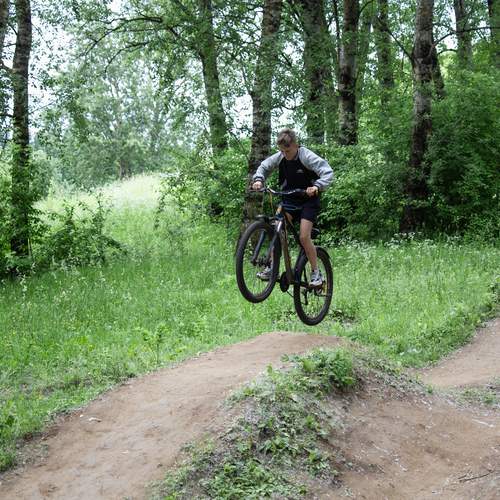 Photo #13686820