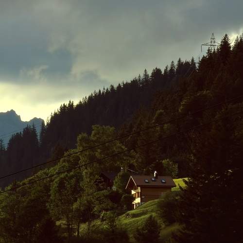 Photo #13686890