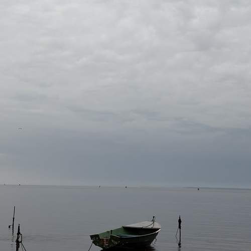 Photo #13686920