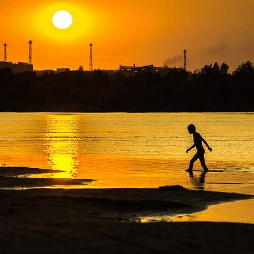 Photo #13686928