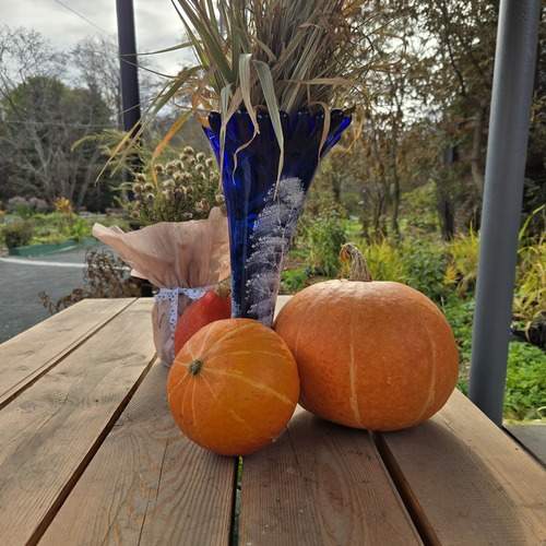 Photo #13687020