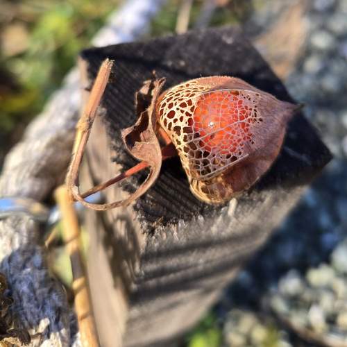 Photo #13687022
