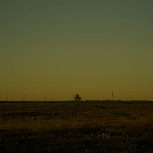 Photo #13687072