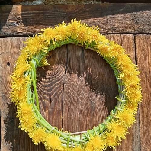 Photo #13687094