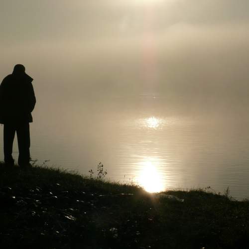 Photo #13687114
