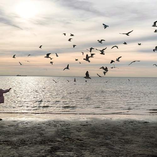 Photo #13687116