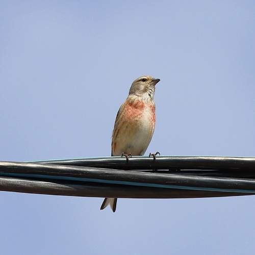 Photo #13687147