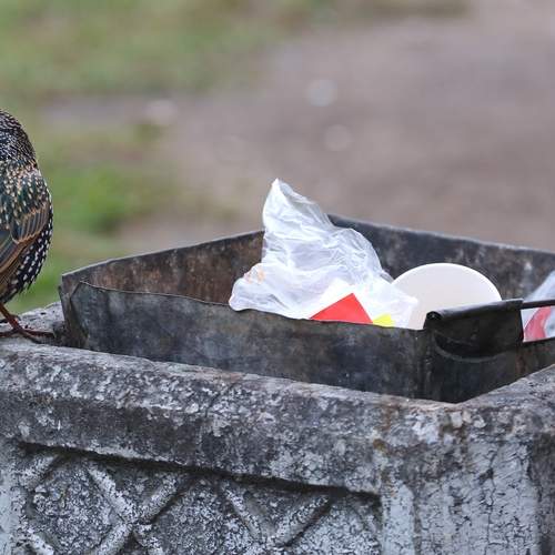 Photo #13687150