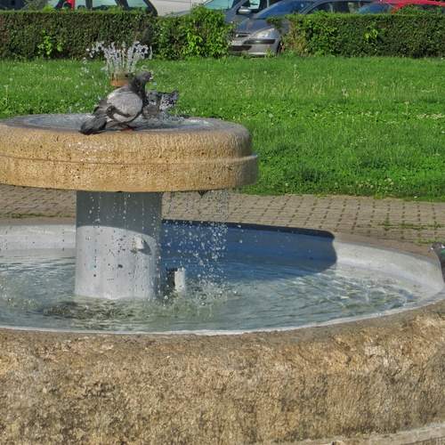 Photo #13687177