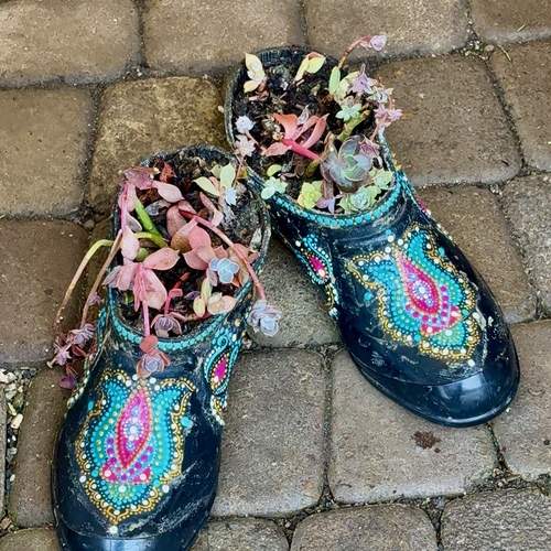 Photo #13687199