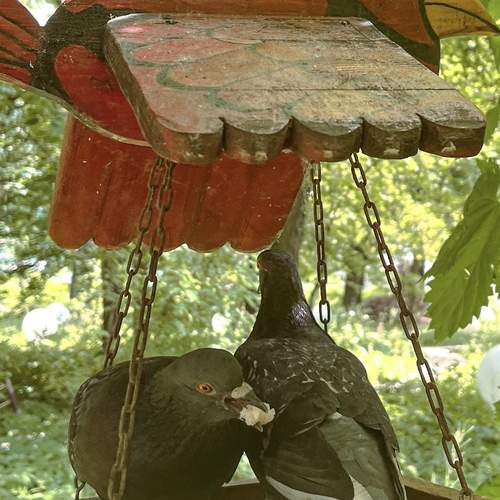 Photo #13687206