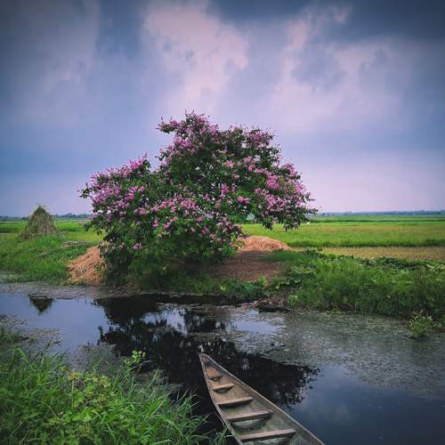 Photo #13687220