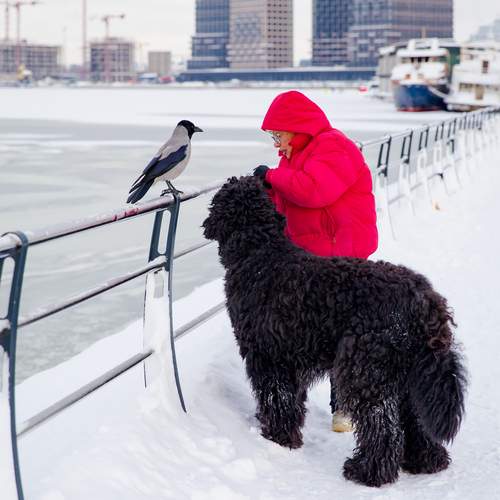 Photo #13687228