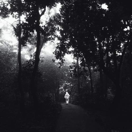 Photo #13687246