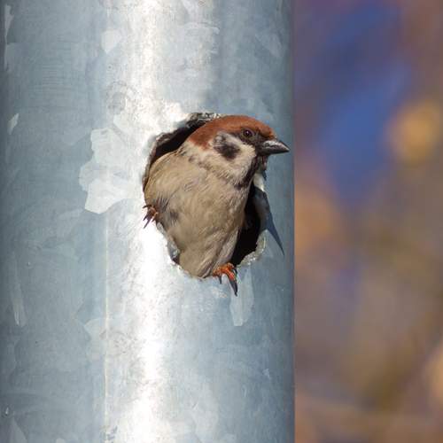 Photo #13687298