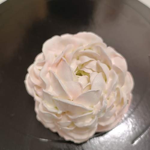 Photo #13687349