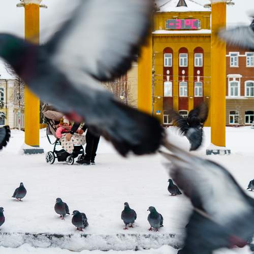 Photo #13687355