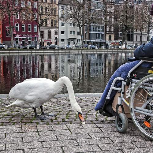 Photo #13687357