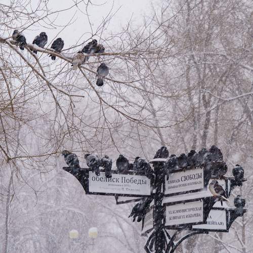 Photo #13687358