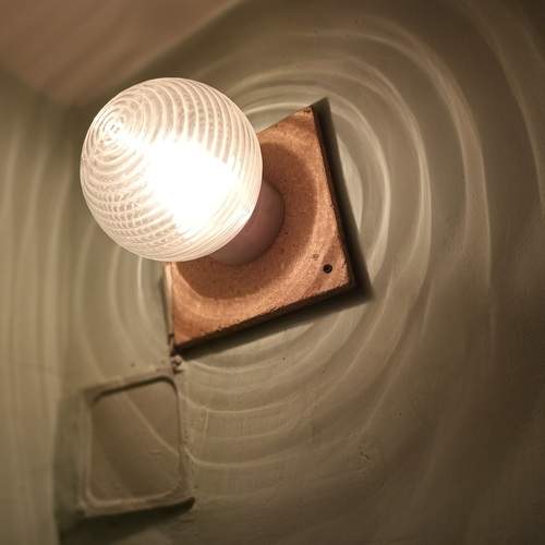 Photo #13687392
