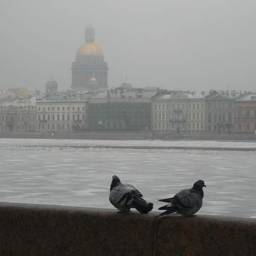 Photo #13687393