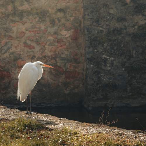 Photo #13687403