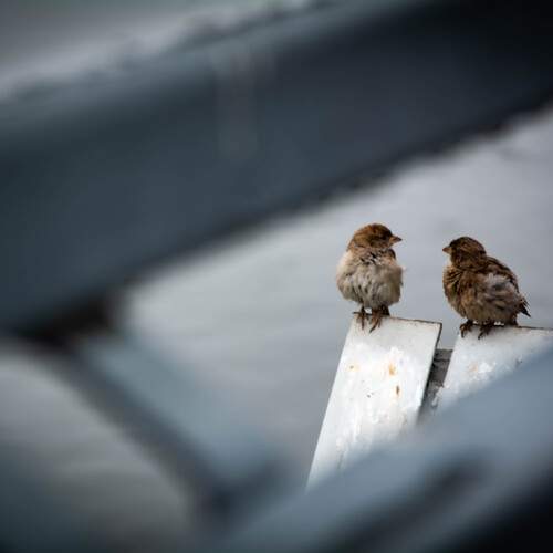 Photo #13687451