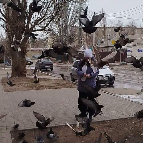 Photo #13687472