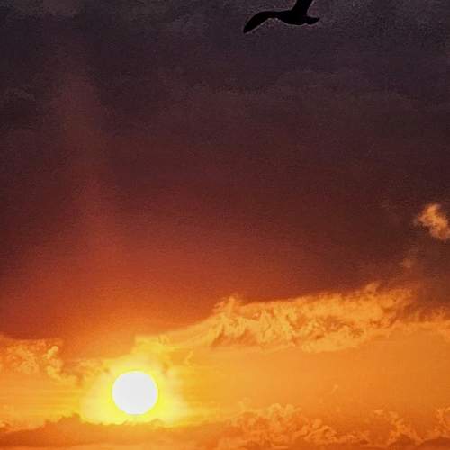 Photo #13687548