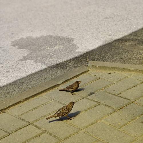 Photo #13687560