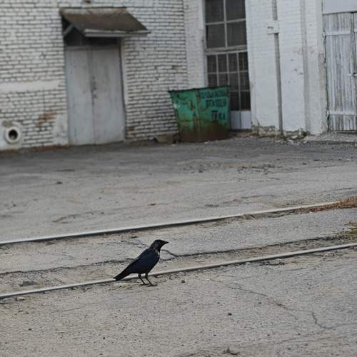 Photo #13687561