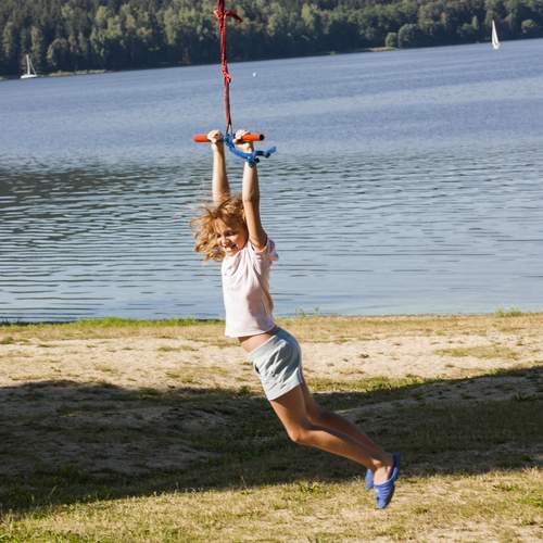 Photo #13687568