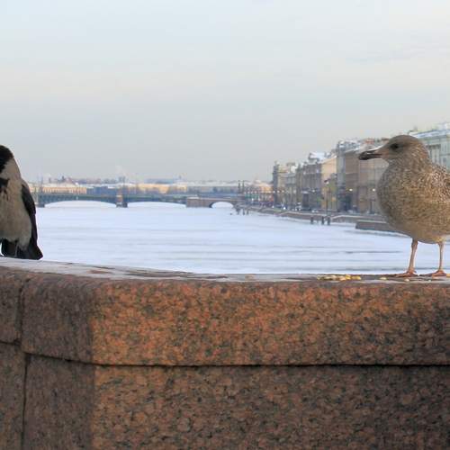 Photo #13687592