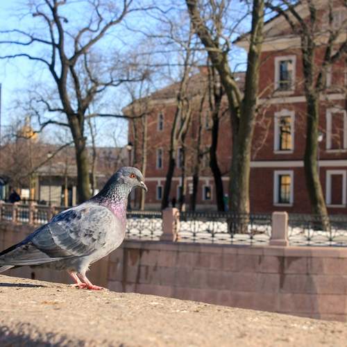 Photo #13687594