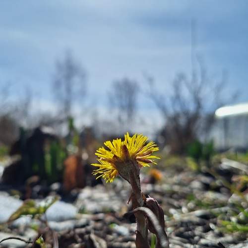 Photo #13687616