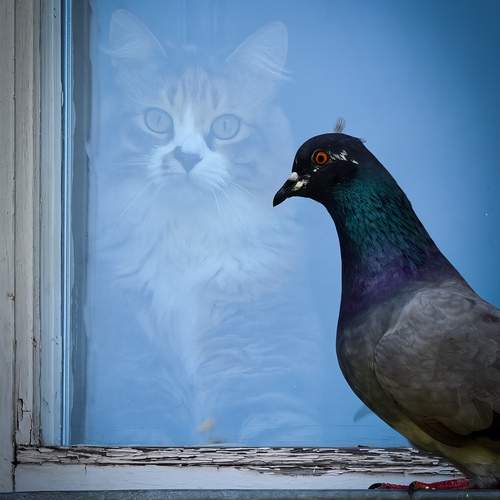 Two Worlds