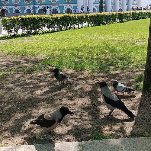 Photo #13687631